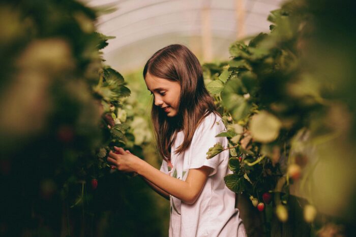 pexels-jonathanborba-15672342 Young girl exploring vegetables in a hoop house