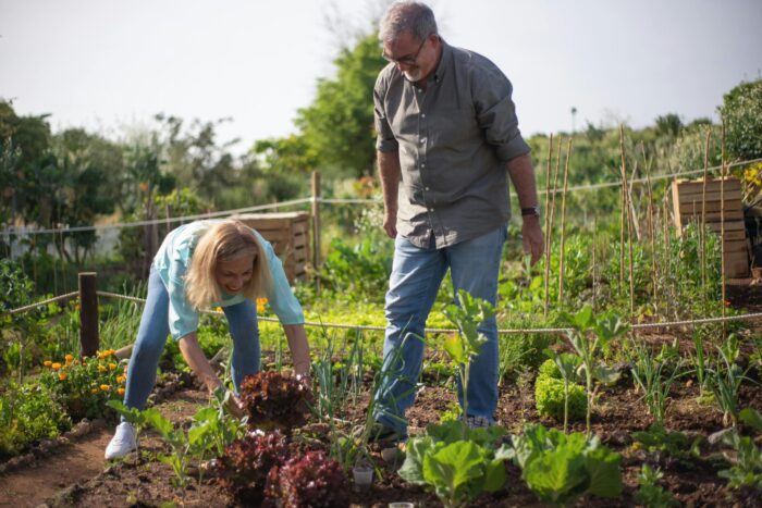 pexels-kampus-7658794 Couple having fun planting vegetables in garden